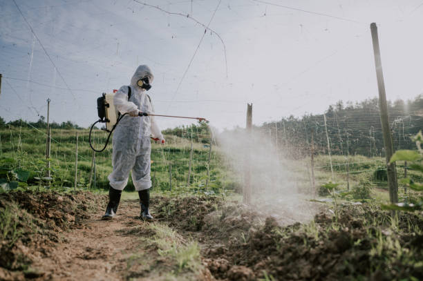 Best Commercial Pest Control Services  in Corning, NY