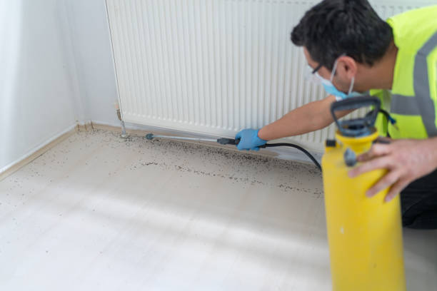 Best Pest Inspection Near Me  in Corning, NY